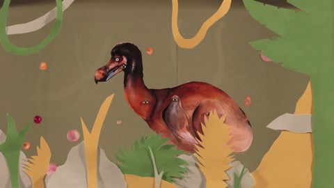 Dodo Drama