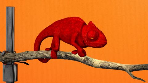 Tizer: Chameleon