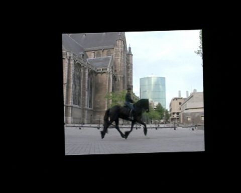 Equestrian