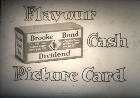Divident Tea