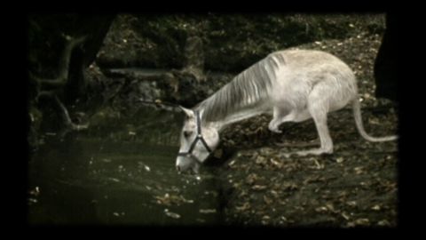 Greenpeace: Half Life