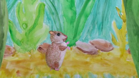 the little hamster