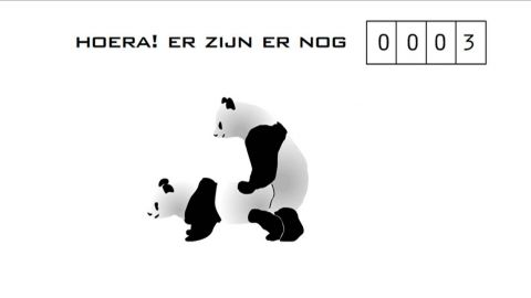 Voor Wie is het Erg dat de Panda Uitsterft?