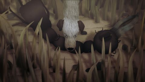 Palmipedarium