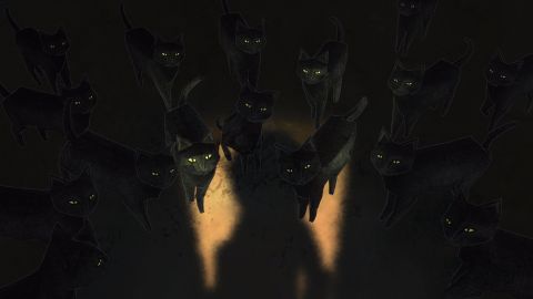 The Cats