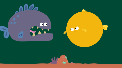 Pufferfish