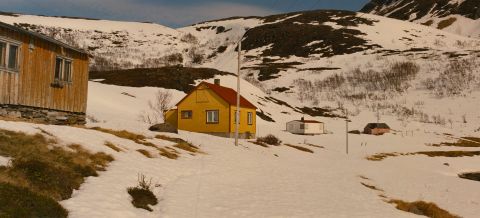 A Year Along the Abandoned Road