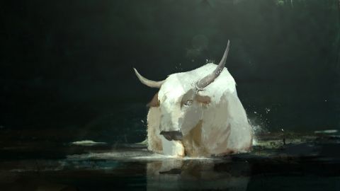 Augur