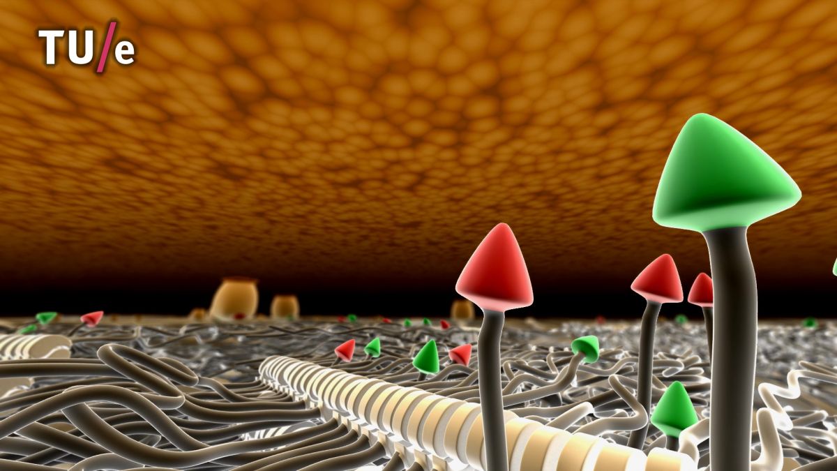 Animating Science: Visualizing Content