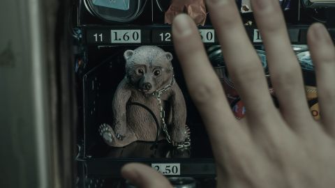 Vier Pfoten – Save The Bears