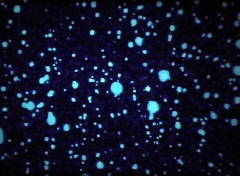 Blue Light