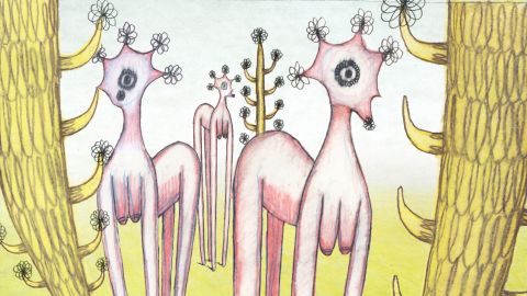 Bottom Feeders