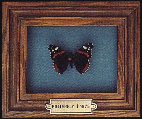 Butterfly R.I.P. 1975