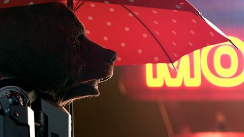 Bye Bear