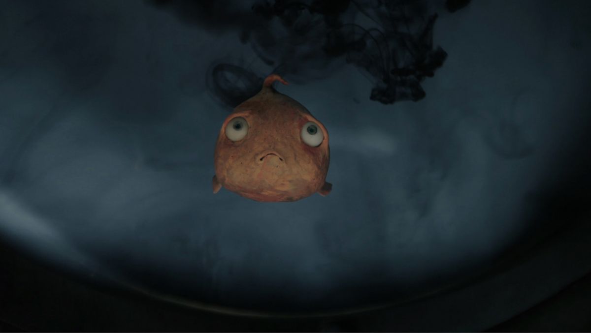 Animated Shorts 5