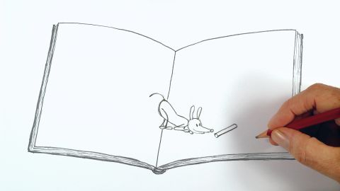 Cats & Dogs