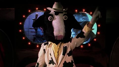 Cattle Call