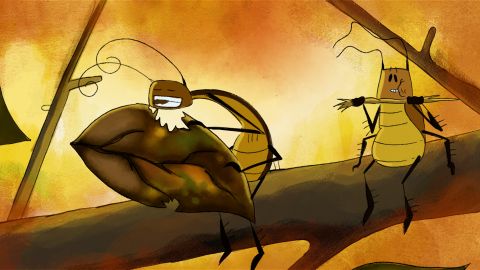 Why Are Cockroaches So Hard to Kill?