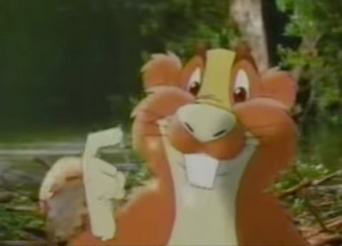 Colgate: Mr. Beaver