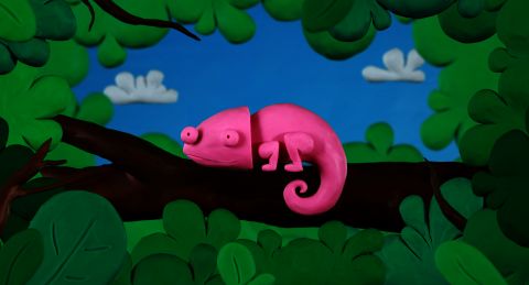 The Chameleon
