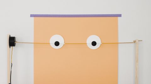 Eyes