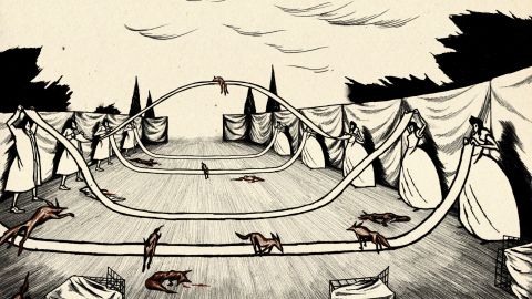 Fox Tossing