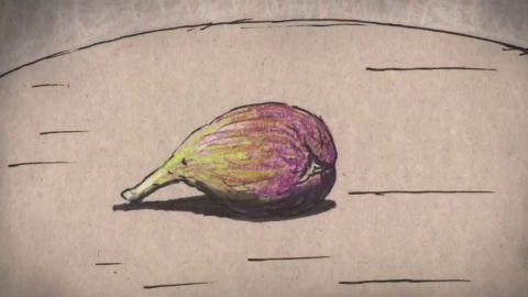 Fig