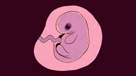 Clipphanger: What is morning sickness