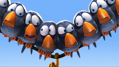 For the Birds