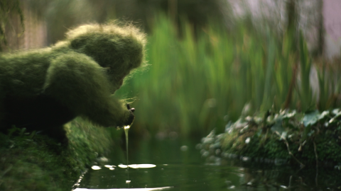 Natuurpunt – The Garden Ape