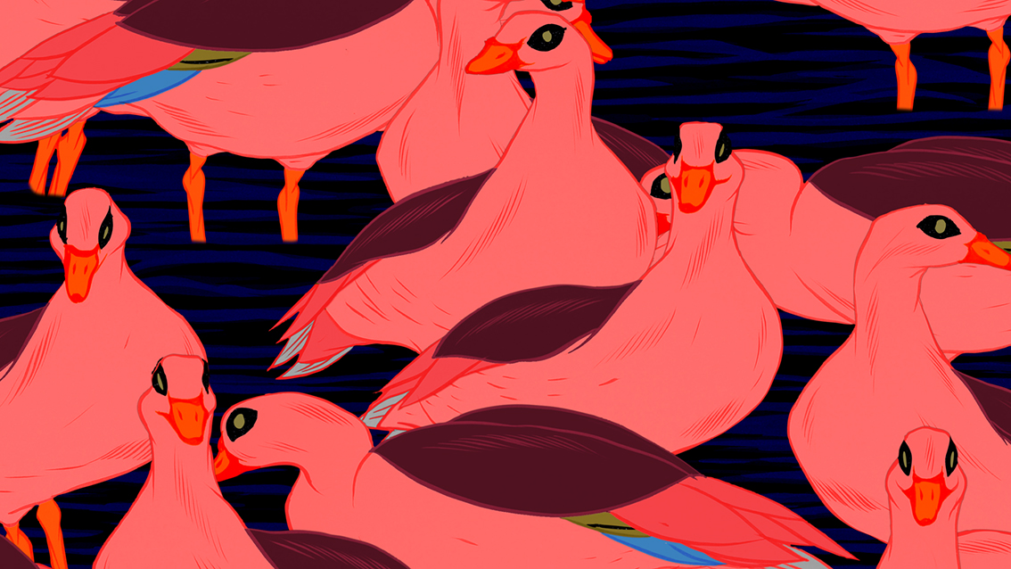 Animated Music Videos