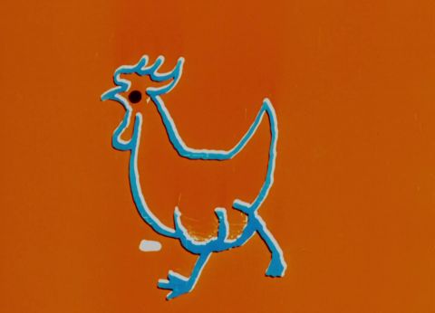 Hen Hop