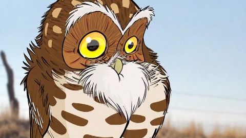 The Hidden Life of the Burrowing Owl