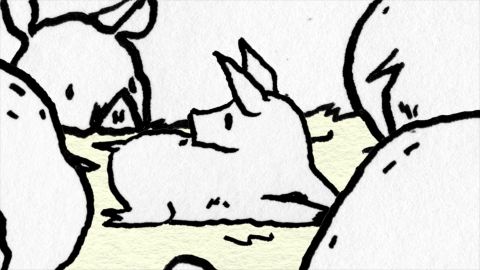 Hog Heaven