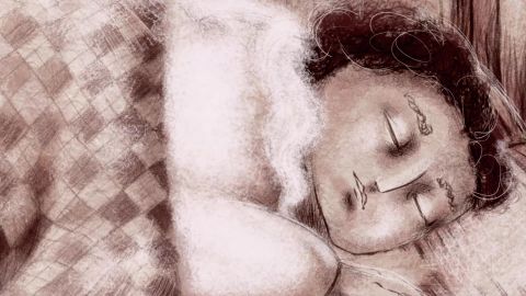 The Man Who Slept