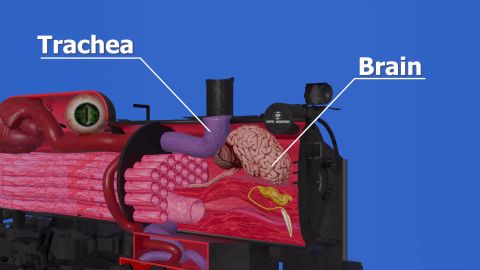 How a Train Works