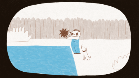 The Hedgehog