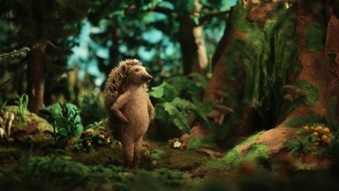 Hedgehog’s Home