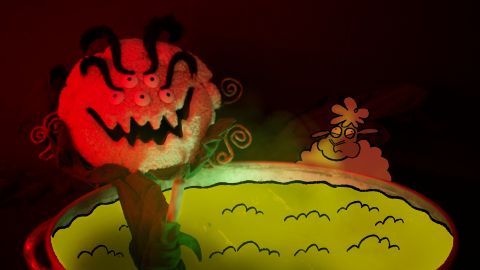 Sheep Well
