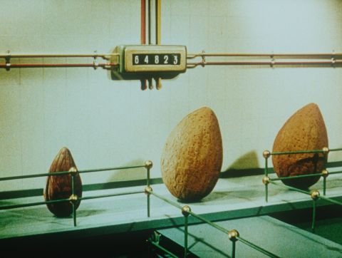 Lanitis Amandelsiroop: Almonds