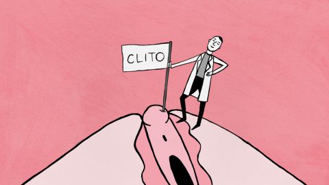 The Clitoris