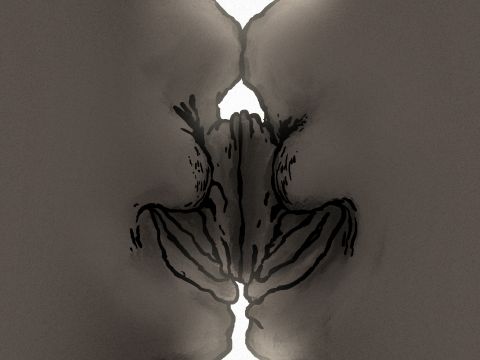 Life of the Organoid