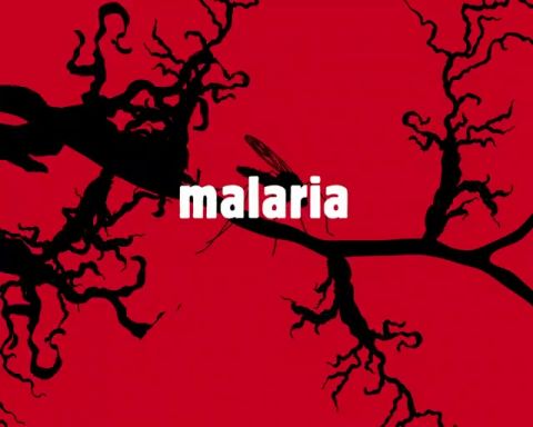 NRC Next: Malaria