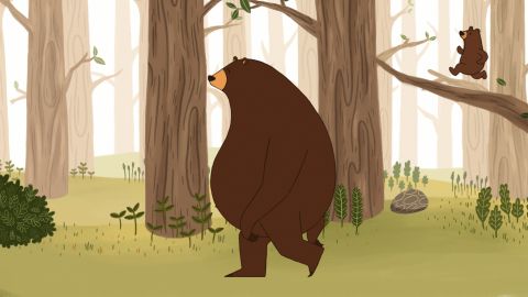 Bearing