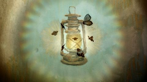 Phototaxis