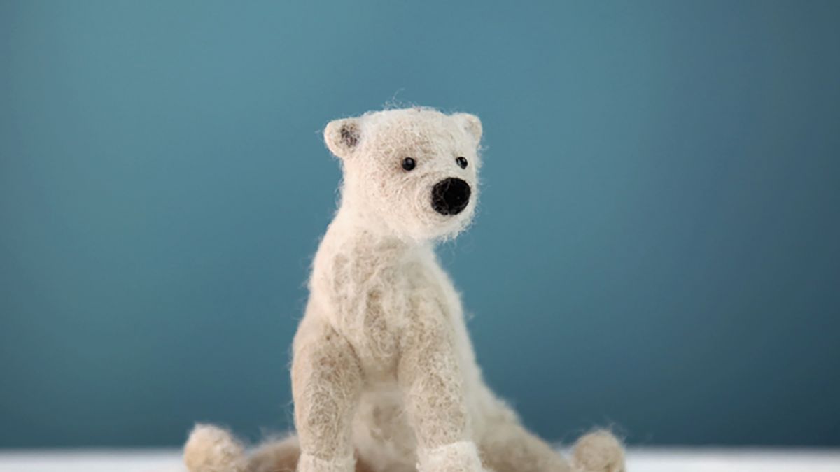 Midlife Mindfulness