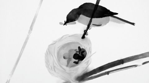 CUCKOO