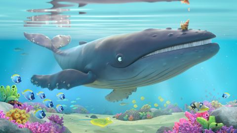 The Snail and the Whale