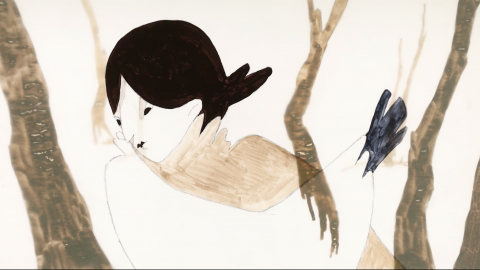 Showreel of Yvette Bolder
