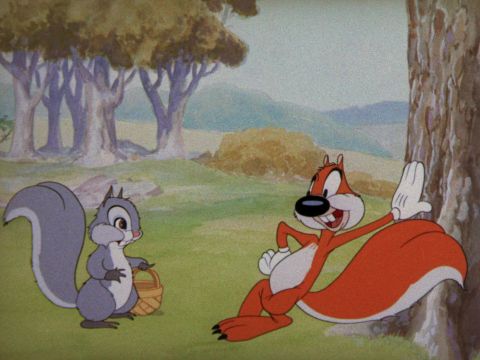 Screwball Squirel